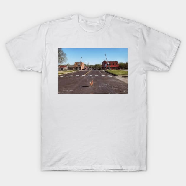 Why Did The Chicken Cross The Road.... T-Shirt by davidbstudios